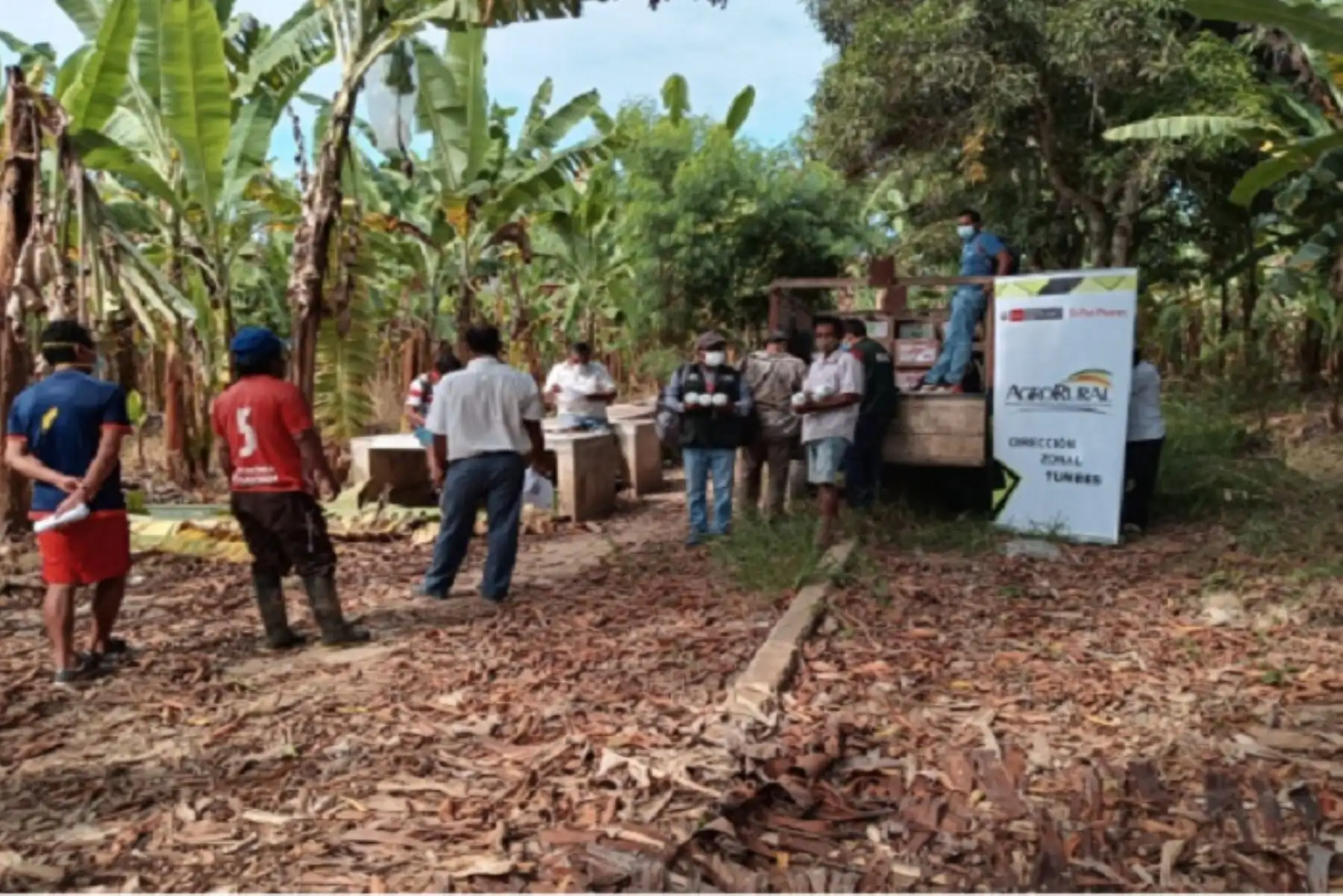 La entrega de abono foliar a pequeños productores registra un 85 % de avance, informó Agro Rural.