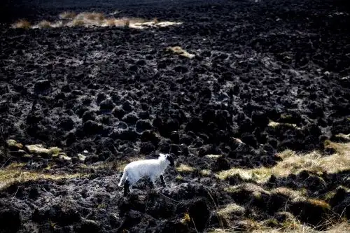 Según Naciones Unidas, las emisiones deberían disminuir en cerca del 8 % anual para no superar el aumento global de 1.5 °C previsto en el acuerdo de París. Foto: AFP.