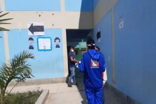 Locales no habrían sido fumigados antes ni después de la primera vuelta, por lo que existe temor entre la población, personal electoral y miembros de mesa.