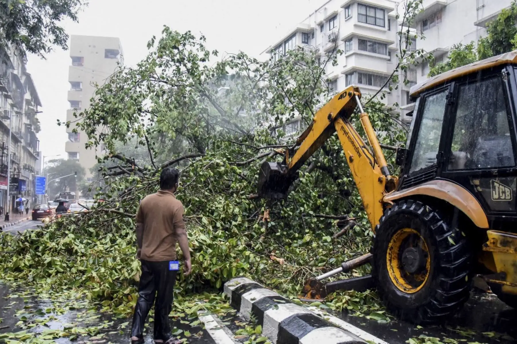 Trabajadores de la Corporación Municipal de Brihanmumbai (BMC) retiran un árbol caído de una calle tras las fuertes lluvias del ciclón Tauktae, en Mumbai el 17 de mayo de 2021. Foto: AFP