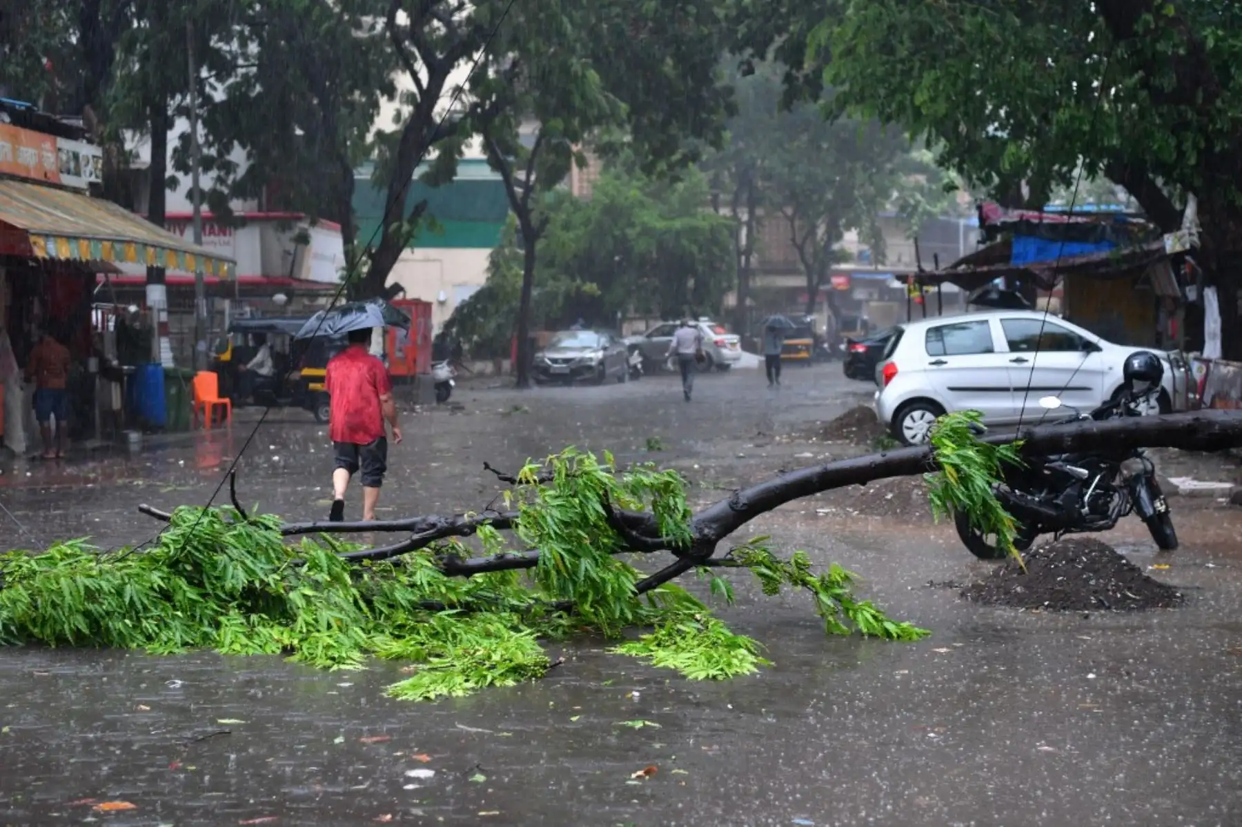 Un hombre pasa junto a un árbol caído en una calle después de las fuertes lluvias del ciclón Tauktae en Mumbai el 17 de mayo de 2021. Foto: AFP