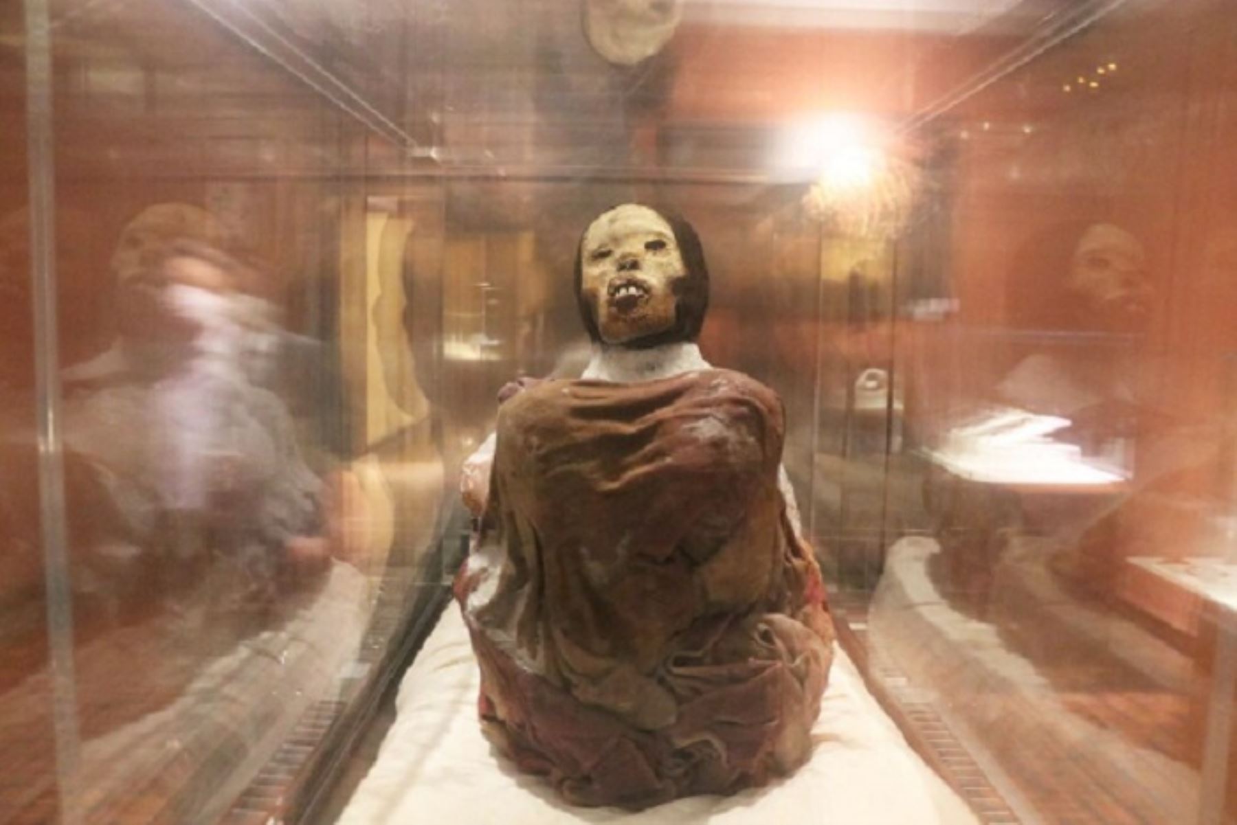 Arequipa: visitantes pueden ingresar gratis hoy al museo de la momia Juanita  | Noticias | Agencia Peruana de Noticias Andina