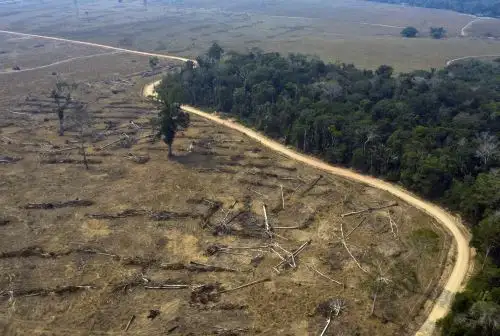 Desde que Bolsonaro asumió el poder en 2019 se ha registrado un repunte de la deforestación en la mayor selva tropical de mundo. Foto: AFP