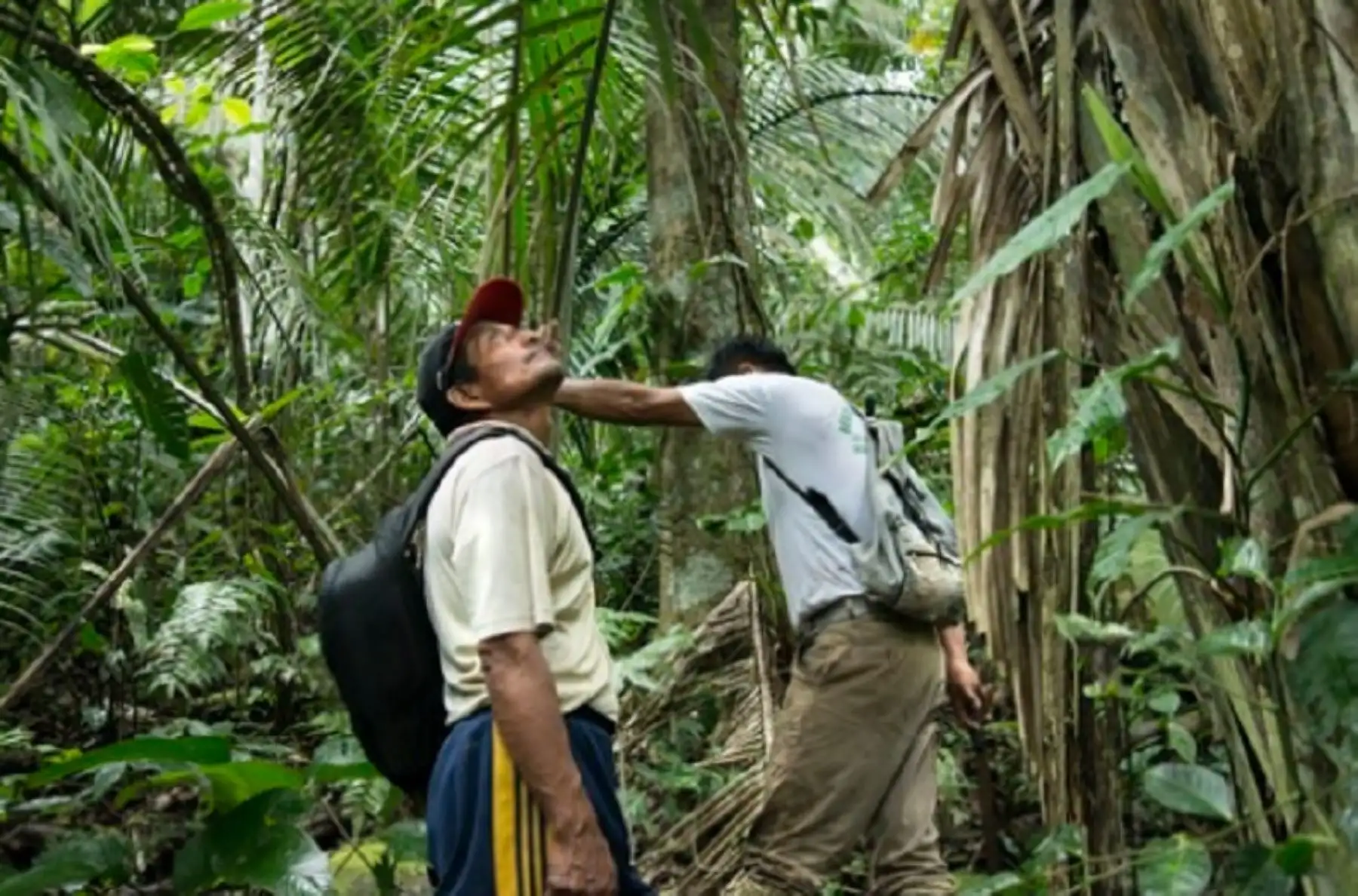 Minam y OCDE fortalecerán estándares sobre defensores ambientales y aprovechamiento de recursos naturales. ANDINA/Difusión