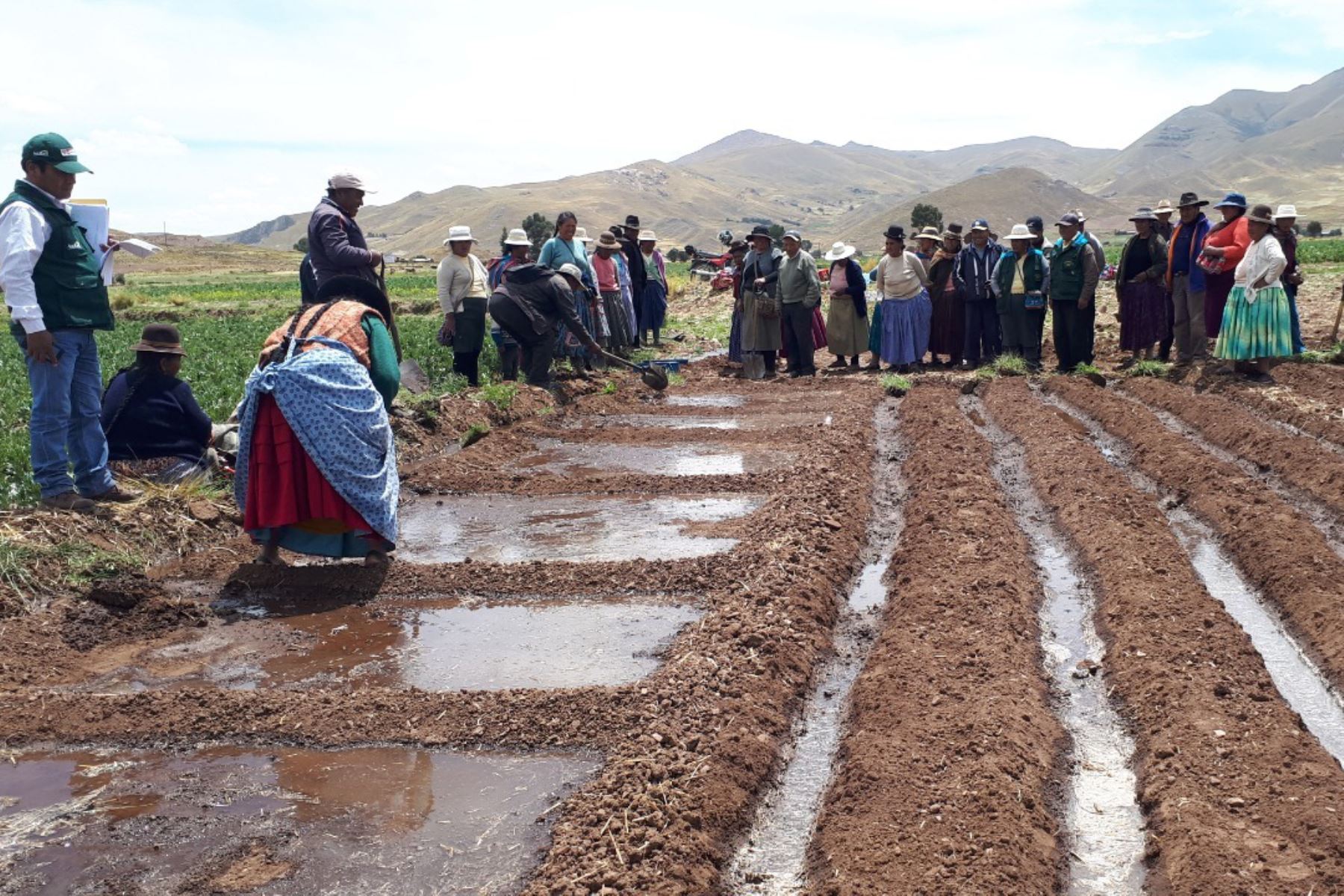 El manual renovado buscará mejorar las condiciones para los trabajadores del campo. Foto:  ANDINA/Midagri.