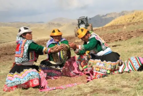 Como muestra del compromiso de la actual gestión para el desarrollo de los hombres y mujeres que practican la agricultura familiar a nivel nacional, el Ministerio de Desarrollo Agrario y Riego (Midagri) publicó, luego 6 años, el nuevo Manual de Operaciones de Agro Rural (MOP).