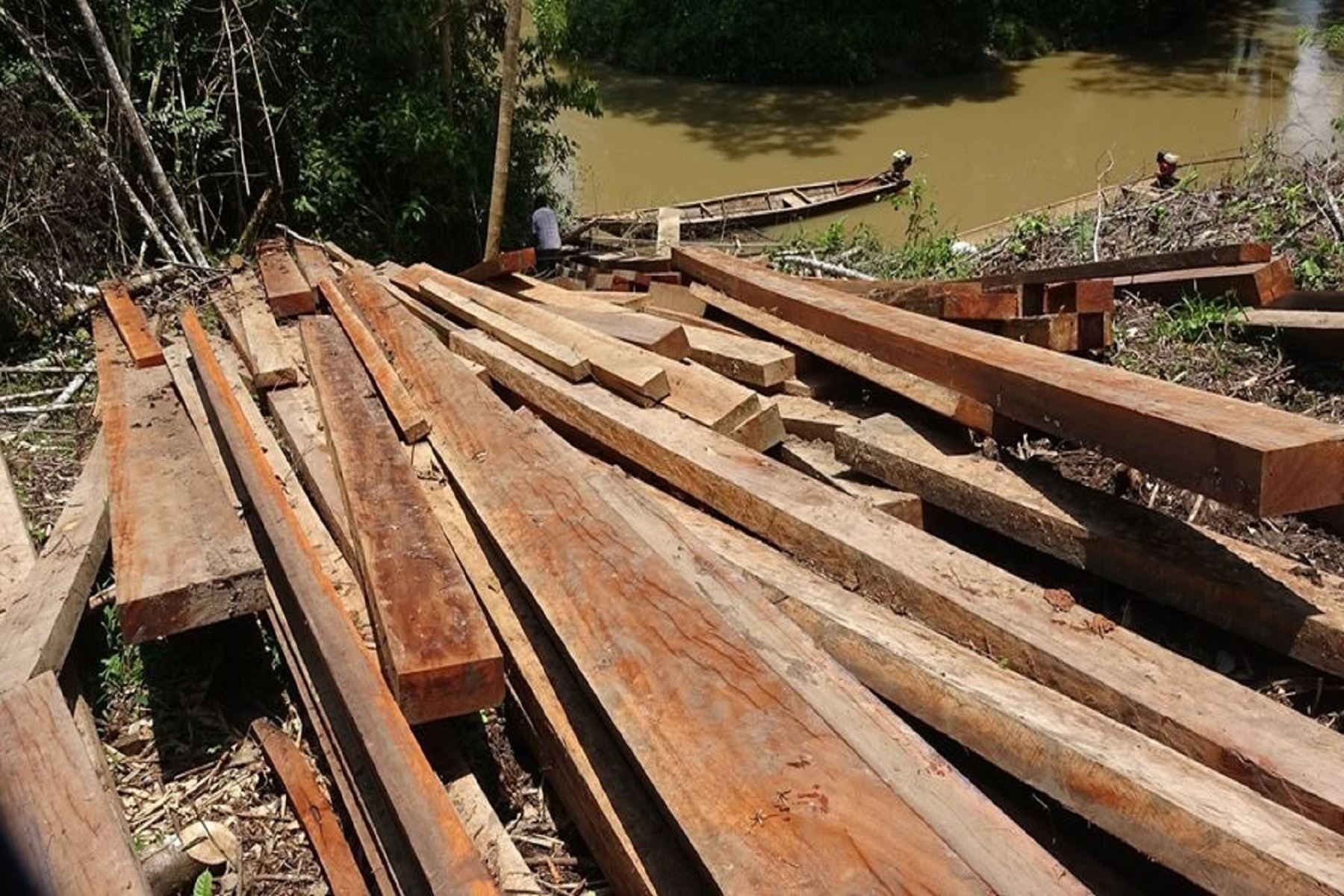 La Fiscalía Ambiental y la Policía Nacional incautan más de 11,000 pies tablares de madera en la localidad de Barranquita, en la región San Martín. Foto: Difusión