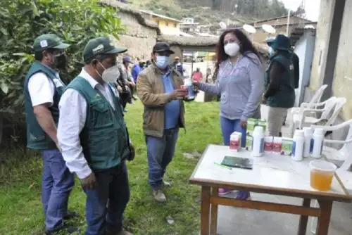 Como parte del Plan Multisectorial ante Heladas y Friaje 2021, Agro Rural del Ministerio de Desarrollo Agrario y Riego (Midagri) inició la aplicación de antiparasitarios, vitaminas y antibióticos veterinarios para proteger a 40,000 cabezas de ganado ante las bajas temperaturas en Áncash.