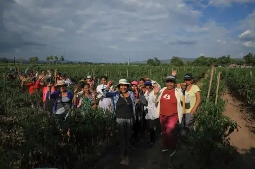 El citado vivero agroforestal tiene por objetivo producir 10 millones de plantones de diversas especies forestales, frutales y medicinales, que serán sembrados en todo San Martín.