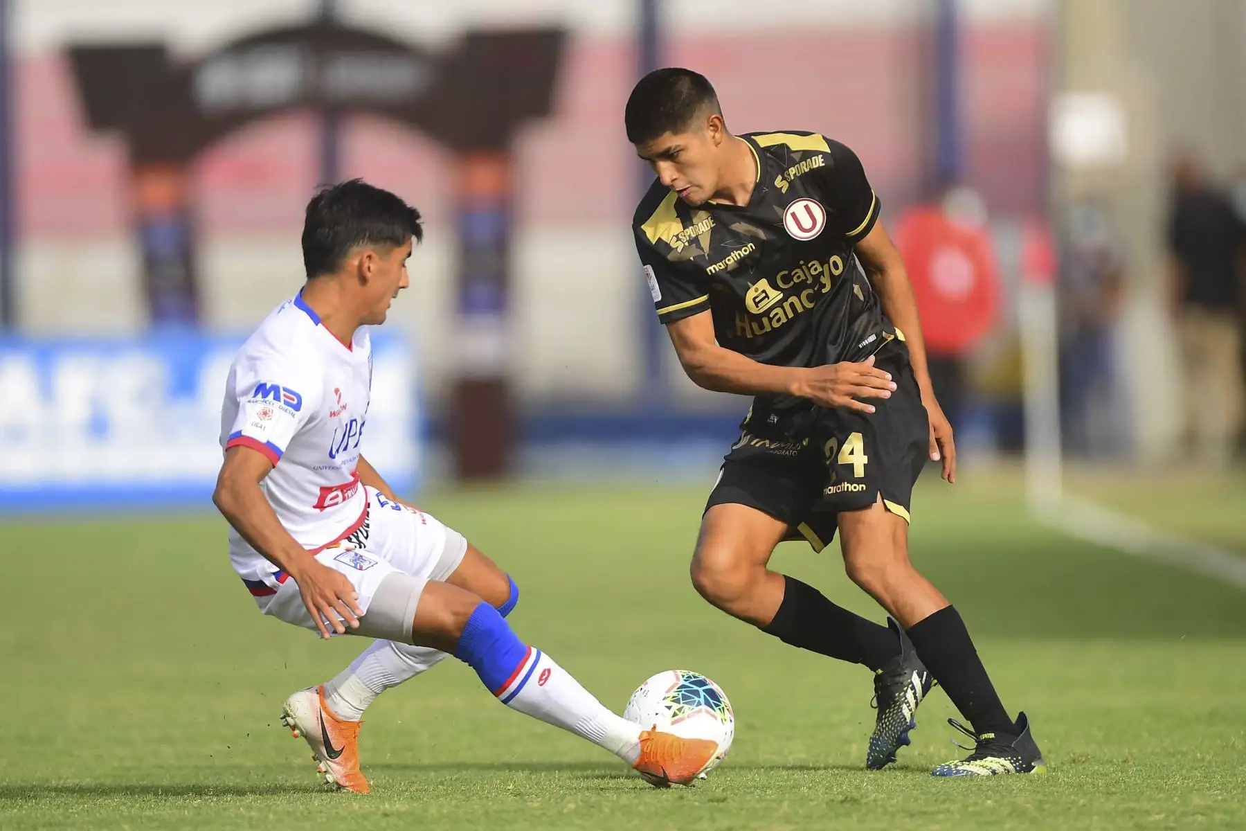 Universitario de Deportes se enfrenta a Manucci en un partido por la fecha 9 de la Liga 1 en el Estadio Iván Elías Moreno. Foto: La Liga