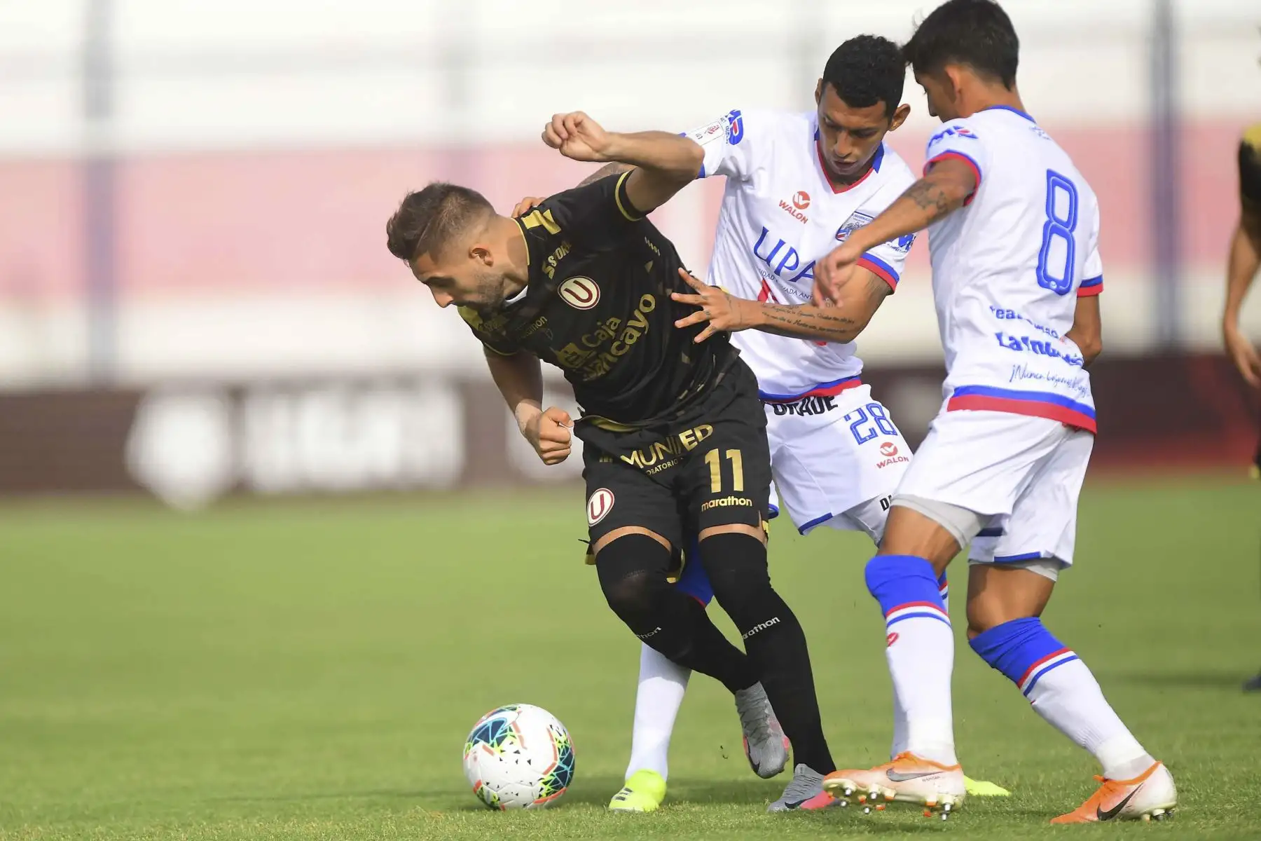 Universitario de Deportes se enfrenta a Manucci en un partido por la fecha 9 de la Liga 1 en el Estadio Iván Elías Moreno. Foto: La Liga