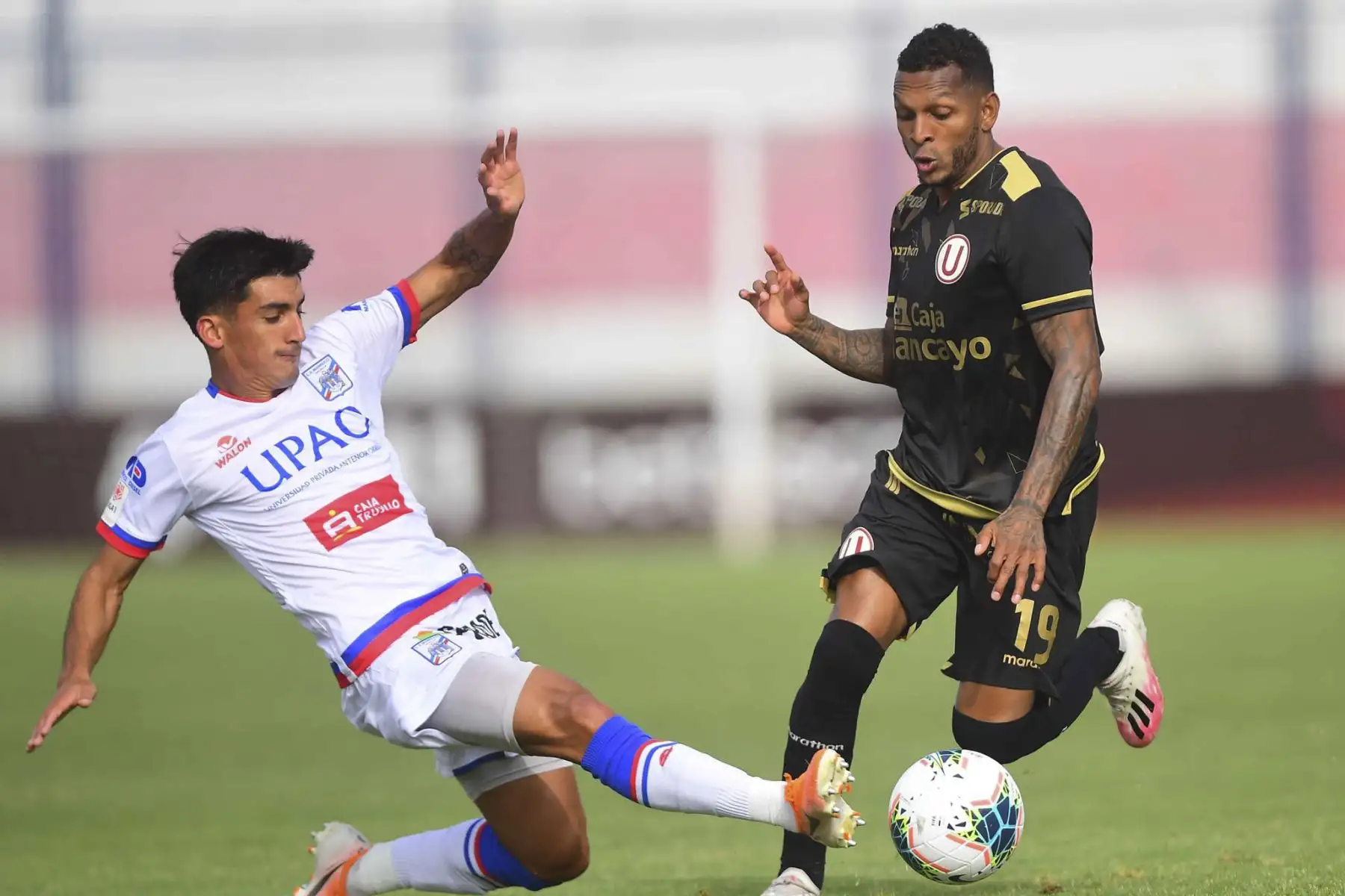 Universitario de Deportes se enfrenta a Manucci en un partido por la fecha 9 de la Liga 1 en el Estadio Iván Elías Moreno. Foto: La Liga