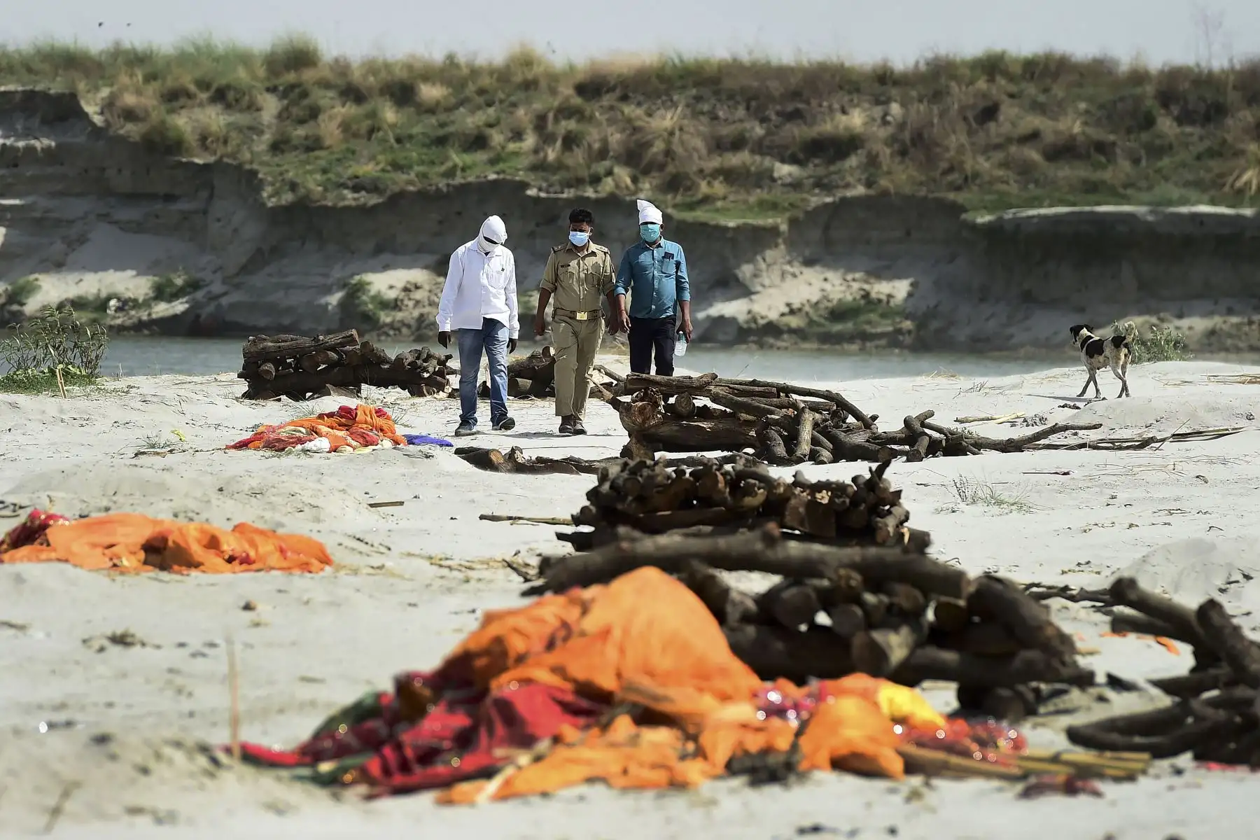 La policía y los funcionarios administrativos inspeccionan un área donde los cadáveres fueron enterrados en la arena cerca de un campo de cremación a orillas del río Ganges en la aldea de Shringaverpur, a unos 40 km de Allahabad, India. Foto: AFP