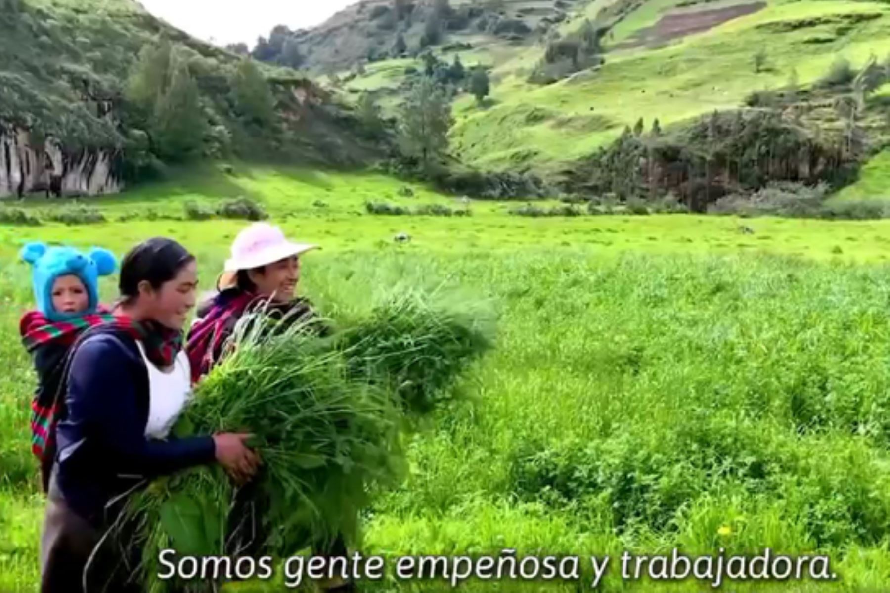 El material audiovisual forma parte de la campaña nacional Peruanos Naturalmente del Ministerio del Ambiente. Foto: ANDINA/Minam
