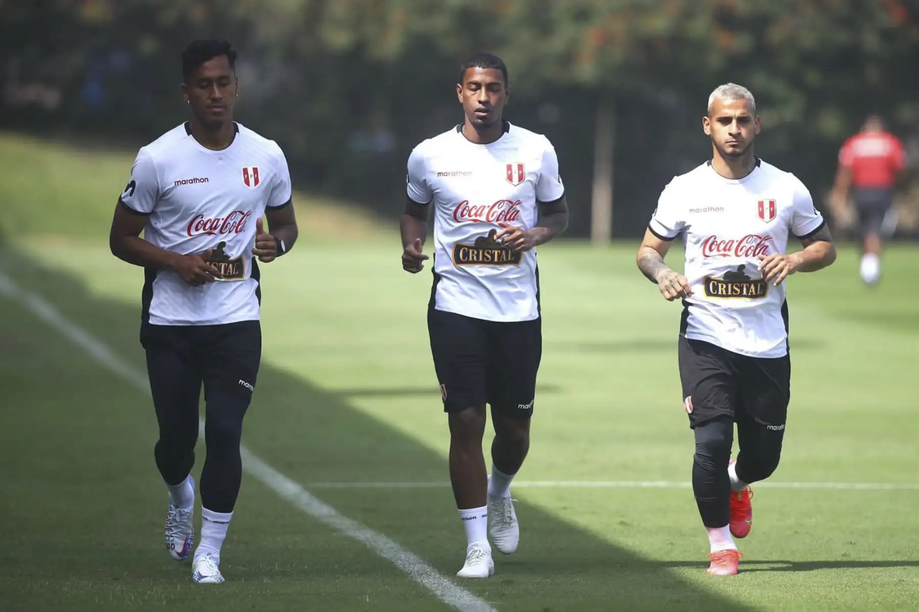 Continúan los entrenamientos de nuestra selección con miras a los próximos duelos por Clasificatorias. Esta mañana se incorporaron los futbolistas Renato Tapia, Miguel Trauco y Miguel Araujo. Foto: FPF
