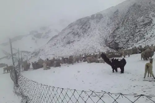 Se prevén acumulados de nieve a más de 4,000 metros y la ocurrencia de lluvia y granizo en localidades por encima de 3,200 metros sobre el nivel del mar. Foto: ANDINA/Difusión