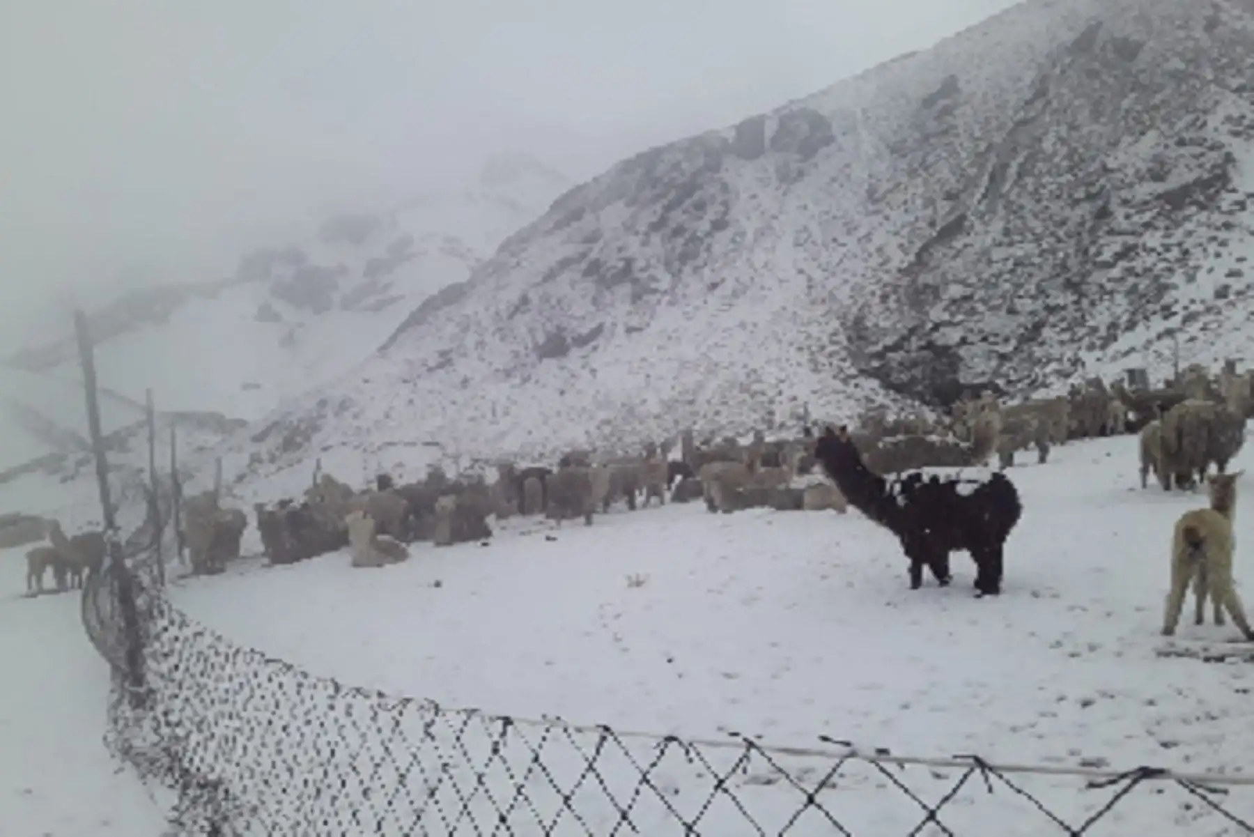 Se prevén acumulados de nieve a más de 4,000 metros y la ocurrencia de lluvia y granizo en localidades por encima de 3,200 metros sobre el nivel del mar. Foto: ANDINA/Difusión