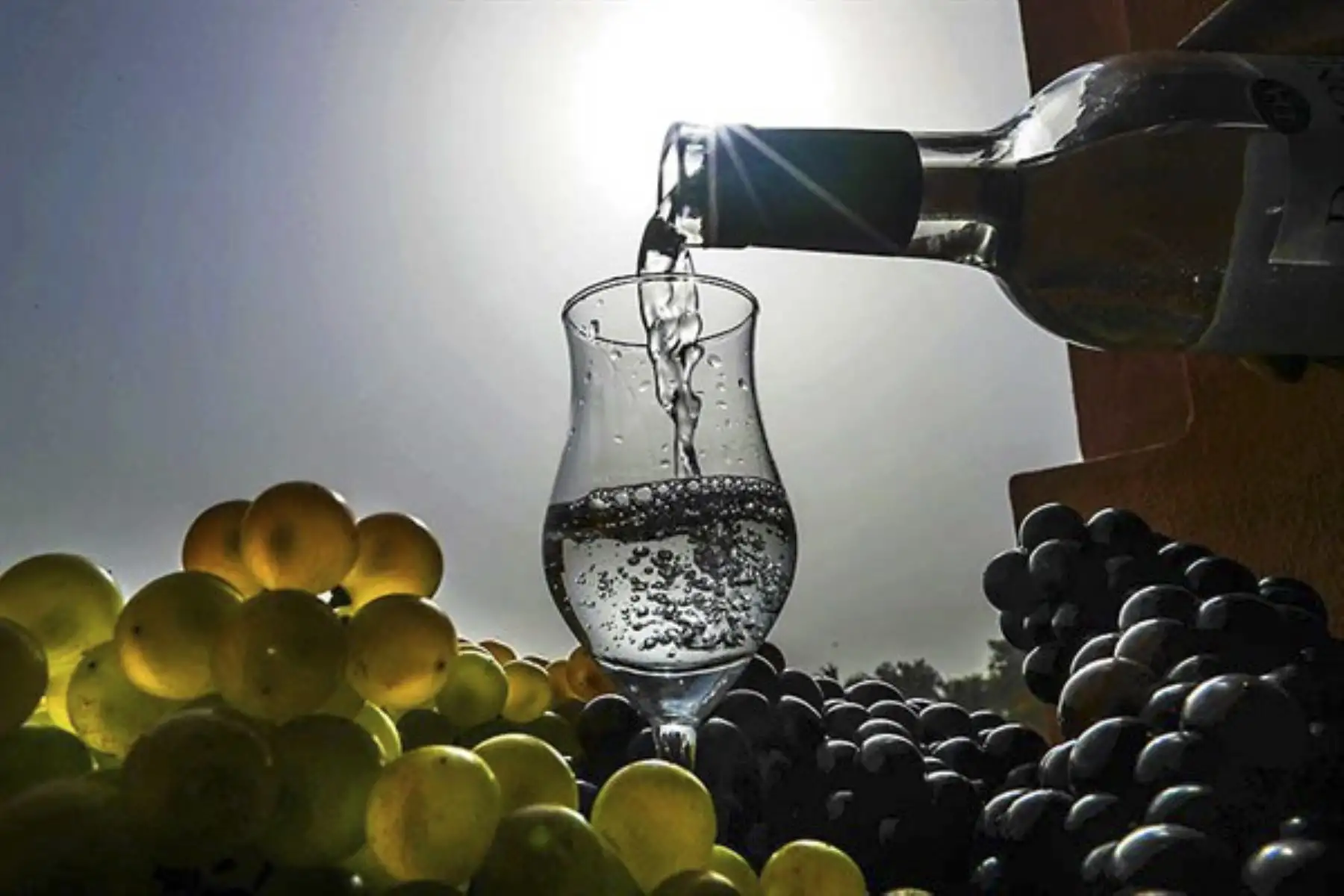 El pisco en la independencia ¿Cuál fue la relación de José de San Martín o Simón Bolívar con nuestro licor bandera? Una investigación con documentos de la época revela información sobre la producción del destilado peruano en los primeros años del Perú independiente. Foto: ANDINA