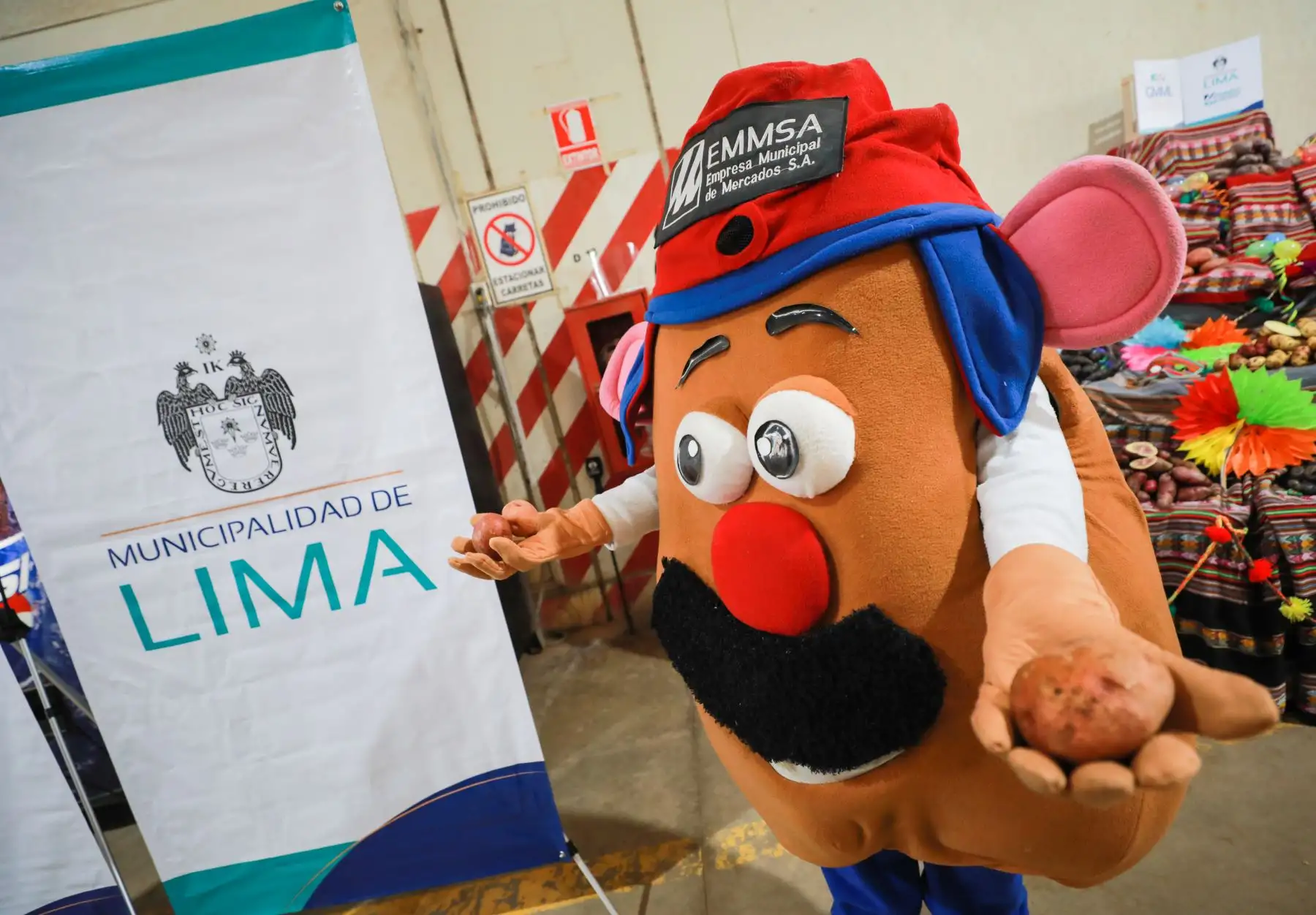 Municipalidad de Lima organizó una exhibición de las variedades de papa que se comercializan en el Gran Mercado Mayorista de Lima en Santa Anita, considerando que el 30 de mayo se celebra el Día Nacional de la Papa. Foto: ANDINA/Municipalidad de Lima