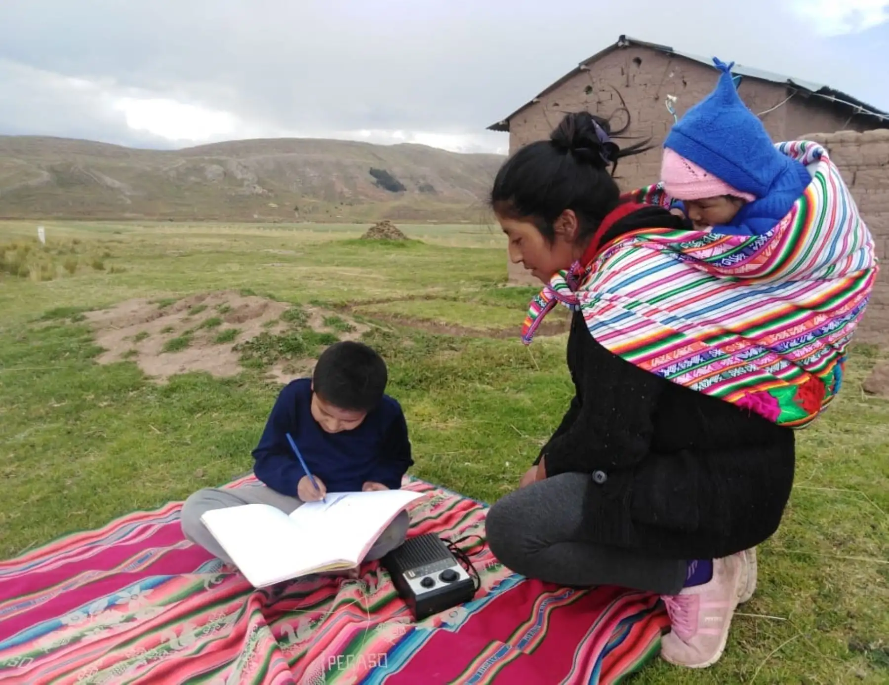 Más de 1.2 millones de estudiantes hablan una lengua originaria, informó el Ministerio de Educación al conmemorarse hoy el Día de las Lenguas Originarias. ANDINA/Difusión