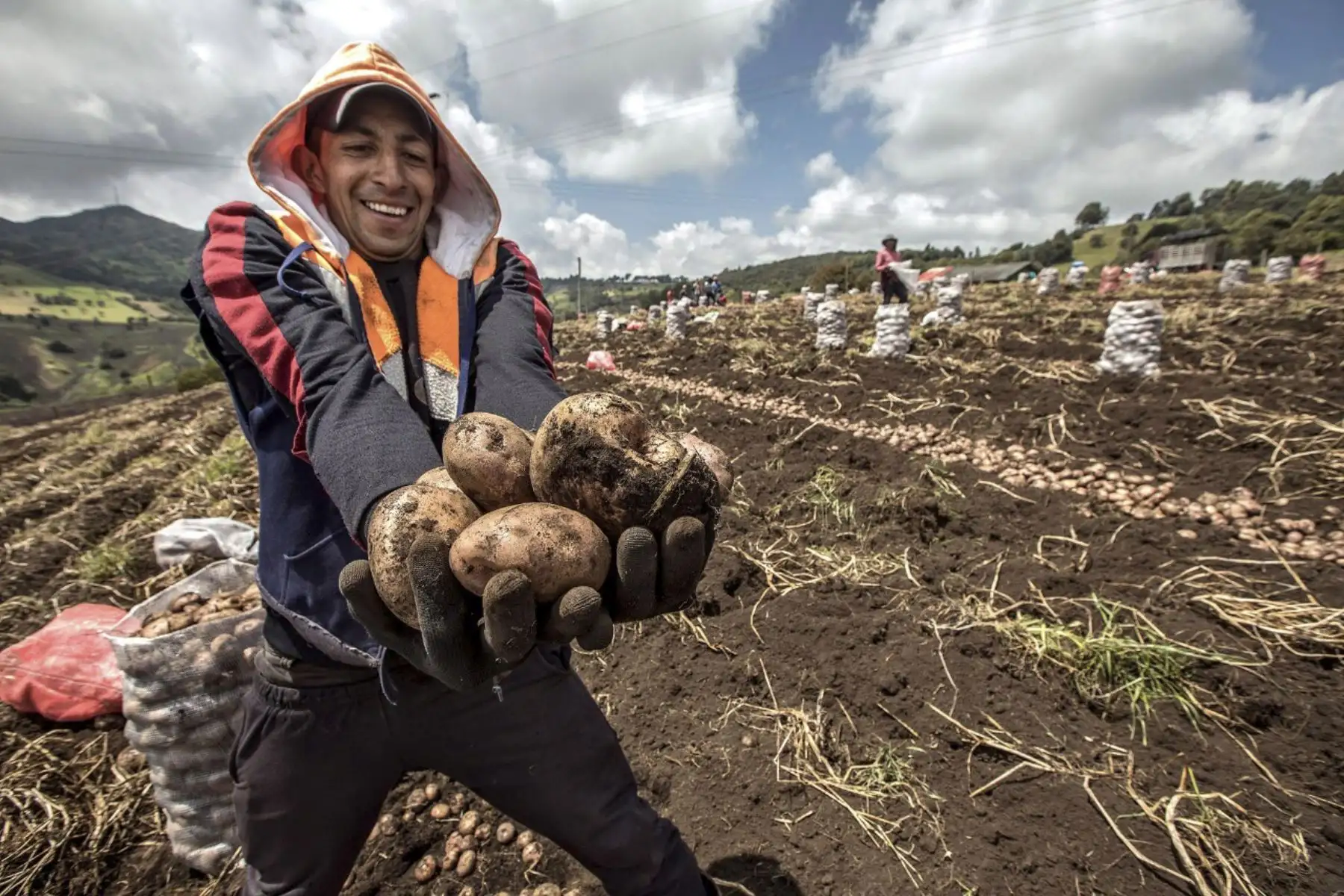 Agricultor. Foto: ANDINA/Difusión.