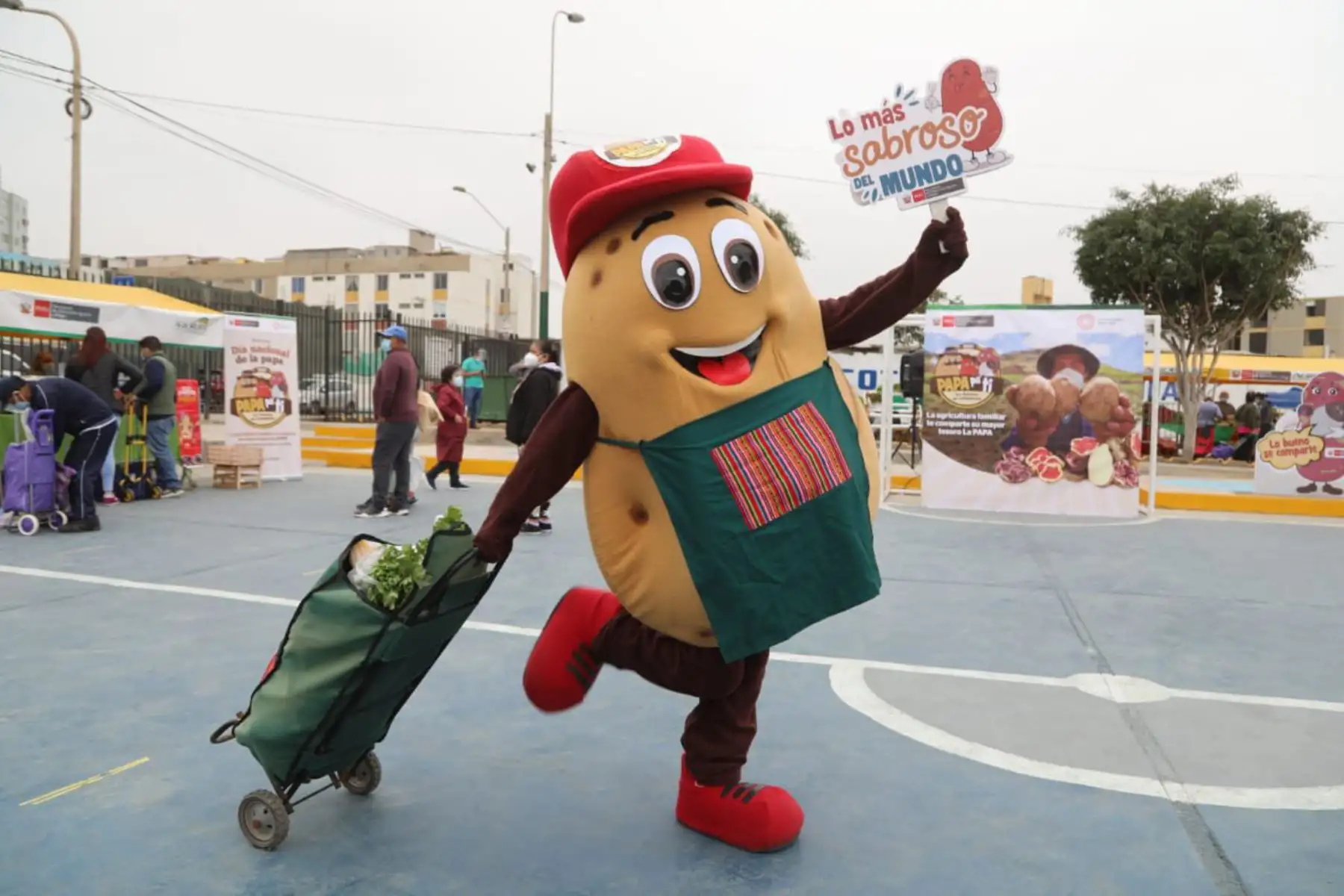 En la víspera del Día Nacional de la Papa , El ministerio de Agricultura a través  de Agro Rural  promueve los mercados Midagri que muestra distintas variedades del tubérculo bandera. Foto: Midagri
