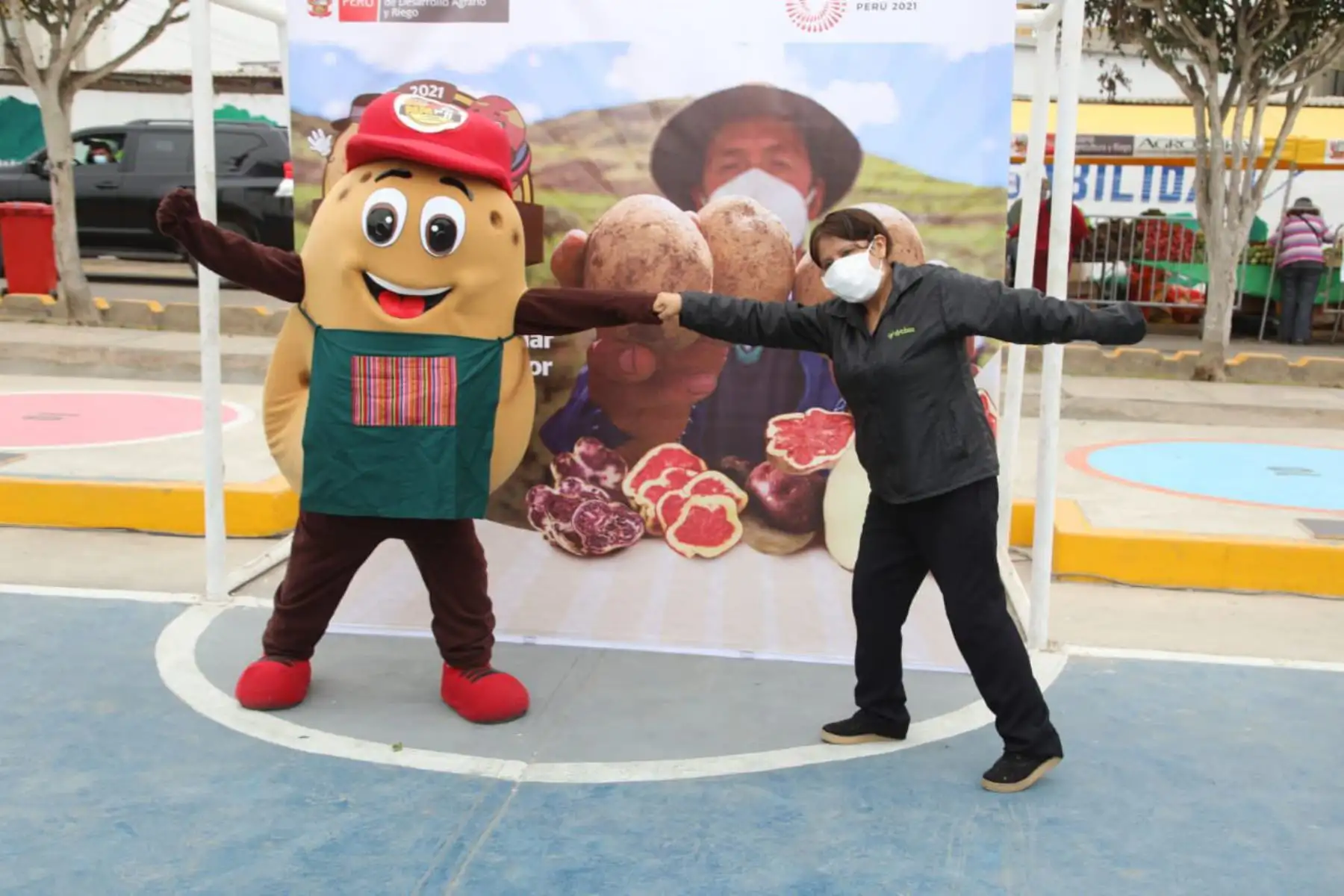 En la víspera del Día Nacional de la Papa , El ministerio de Agricultura a través  de Agro Rural  promueve los mercados Midagri que muestra distintas variedades del tubérculo bandera. Foto: Midagri