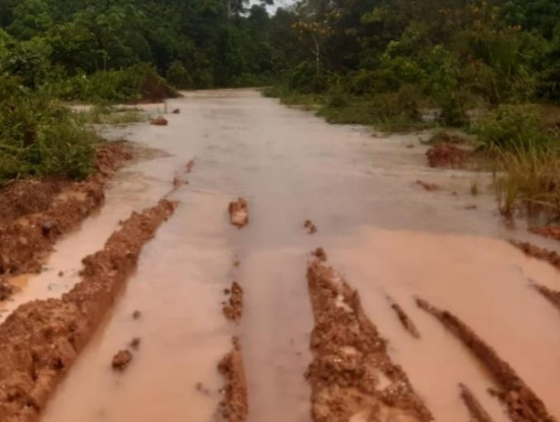 Lluvias intensas causaron daños en viviendas y terrenos de cultivo en distrito de Trompeteros, región Loreto.