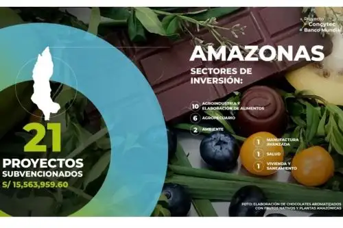 Concytec otorga S/ 15 millones para financiar proyectos que impulsarán competitividad de Amazonas.