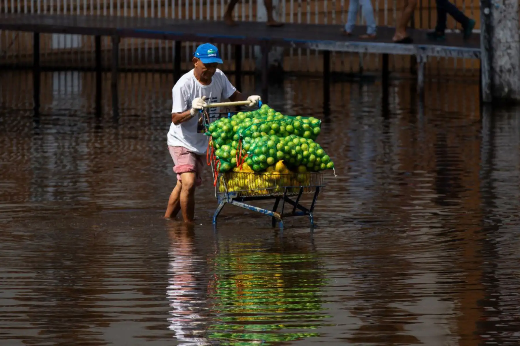 Una persona empuja un carro con frutas por una calle inundada en el centro de la ciudad de Manaos, capital del estado brasileño de Amazonas tras la crecida del Río Negro, afluente del río Amazonas que alcanzó los 29,98 metros, haciendo un nuevo nivel récord de la temporada de inundaciones.  Manaos y otras 35 ciudades han decretado el estado de emergencia por el desbordamiento del río.

Foto: AFP