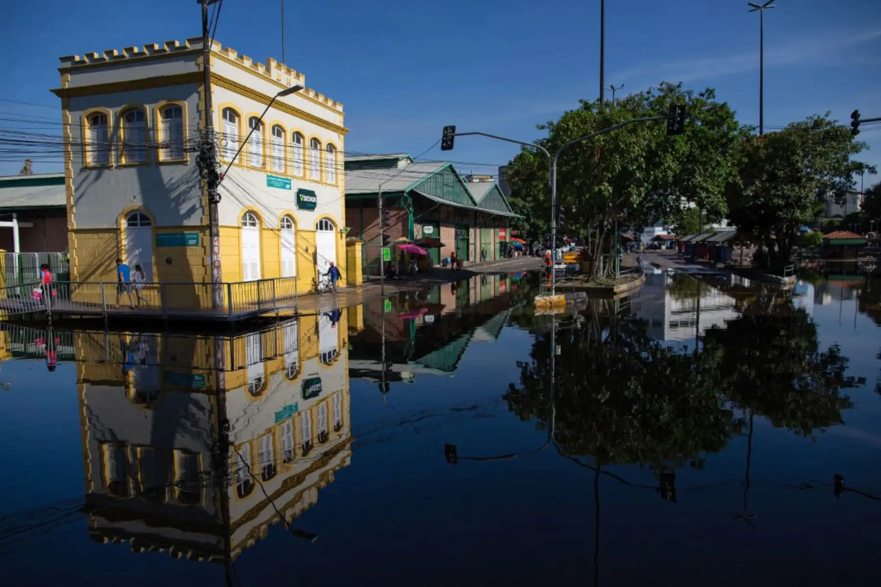 La gente camina por pasarelas construidas para cruzar calles inundadas en el centro de la ciudad de Manaos, capital del estado brasileño de Amazonas tras la crecida del Río Negro, afluente del río Amazonas que alcanzó los 29,98 metros, haciendo un nuevo nivel récord de la temporada de inundaciones.  Manaos y otras 35 ciudades han decretado el estado de emergencia por el desbordamiento del río.

Foto: AFP