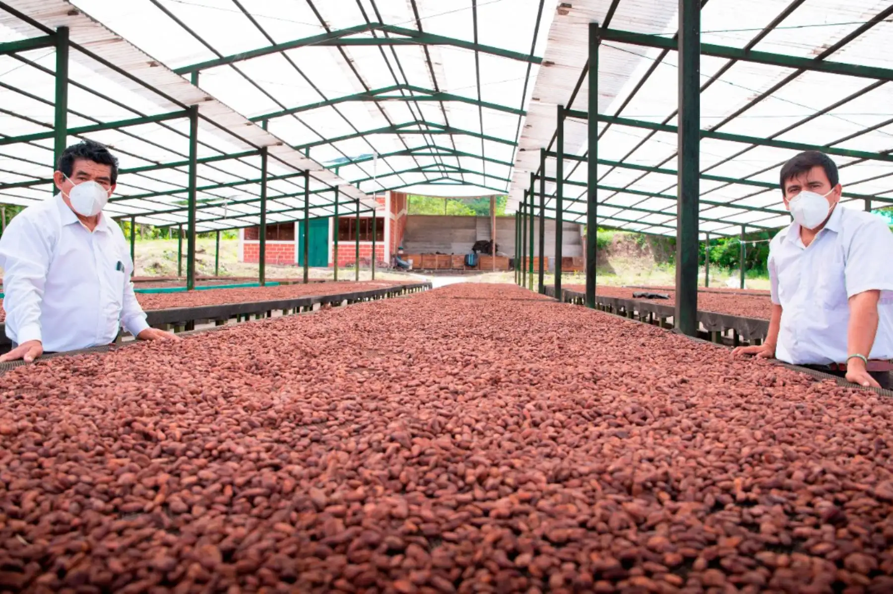Foto: Andina/Midagri