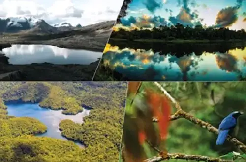 Las Reservas de Biosfera son áreas representativas de ambientes terrestres o acuáticos creados para promover una relación equilibrada entre los seres humanos y la naturaleza. El Perú cuenta con seis Reservas de Biósfera reconocidas por la Unesco.
