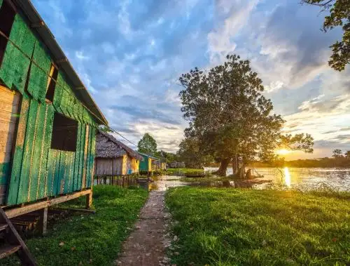 Concytec destina S/ 31.9 millones para financiar diversos proyectos e iniciativas de conservación ambiental.