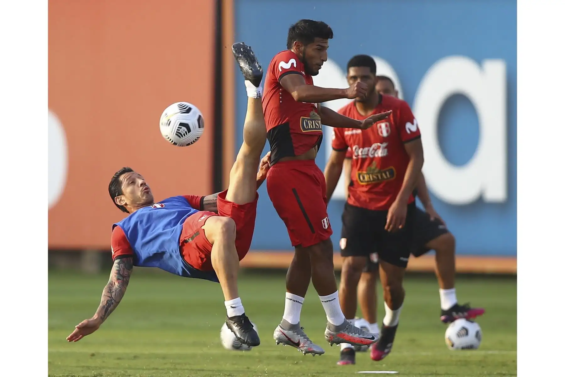 Gianluca Lapadula de la Selección peruana retomó entrenamientos con miras al partido frente a Ecuador por las Eliminatorias Qatar 2022. Foto: FPF