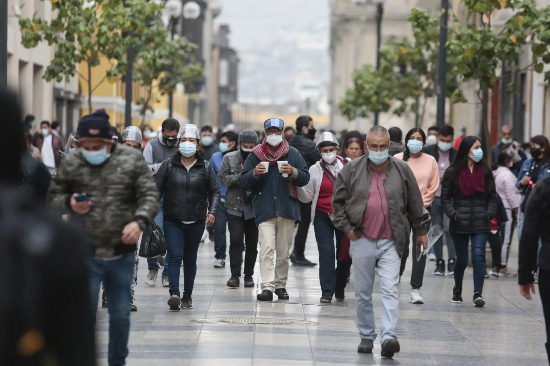 Foto: ANDINA/difusión.