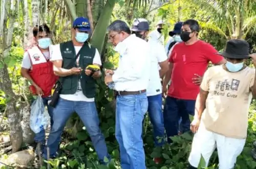 La labor de titulación está a cargo de profesionales que conforman brigadas integradas por un ingeniero, seis técnicos de campo y un dibujante especialista.