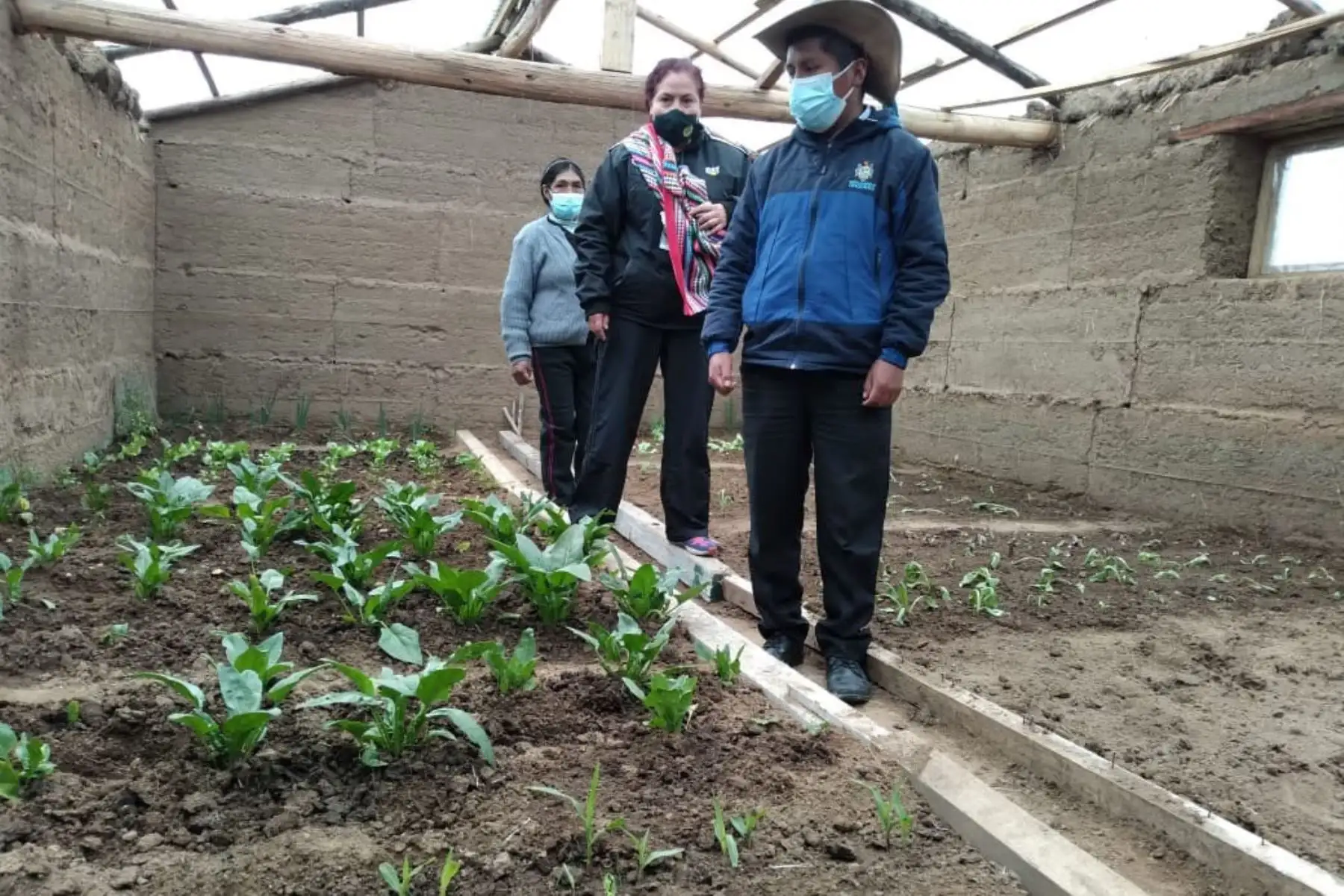 Uno de los 20 fitotoldos o invernaderos rústicos programados este 2021 en este distrito se hizo entrega de kits de conservación para forrajes que consisten en motoguadañas y picadora de forrajes.  
Foto: Midagri