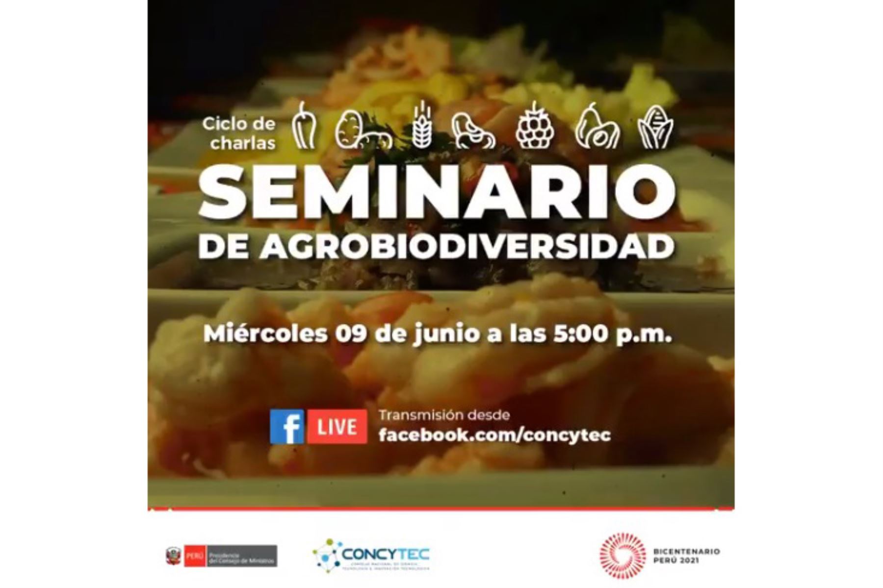Para la socióloga y fundadora de Asociación Peruana de Gastronomía (Apega), Isabel Álvarez, será expositora de la charla virtual  Cocinas regionales del Perú y la biodiversidad. ANDINA/ Twitter