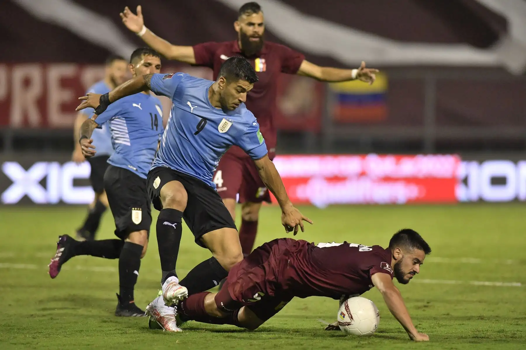 El uruguayo Luis Suárez y el venezolano Junior Moreno compiten por el balón durante su partido de fútbol de clasificación sudamericano para la Copa Mundial de la FIFA Qatar 2022 en el Estadio Olímpico de la UCV en Caracas.
Foto: AFP