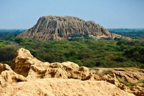 Santuario Histórico Bosque de Pómac formará parte  de la ruta turística “Caminos del papa León XIV”