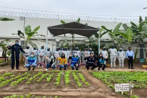Jóvenes del centro Maranguita implementaron jardín educativo Makaspa Maravillata . Foto: difusión.