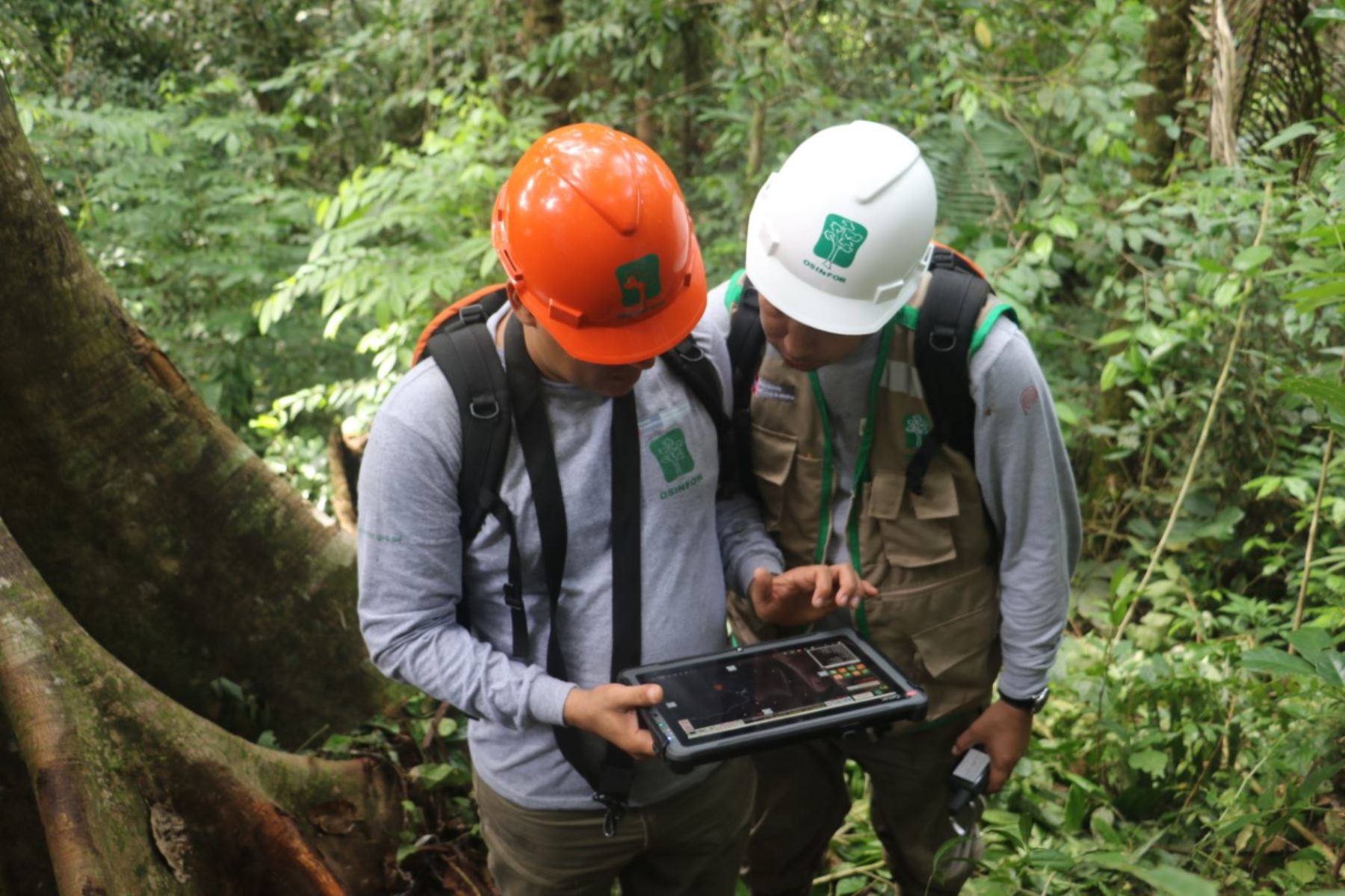La cooperación alemana entregó en calidad de donación a Osinfor equipos electrónicos que permitirán optimizar las supervisiones forestales.