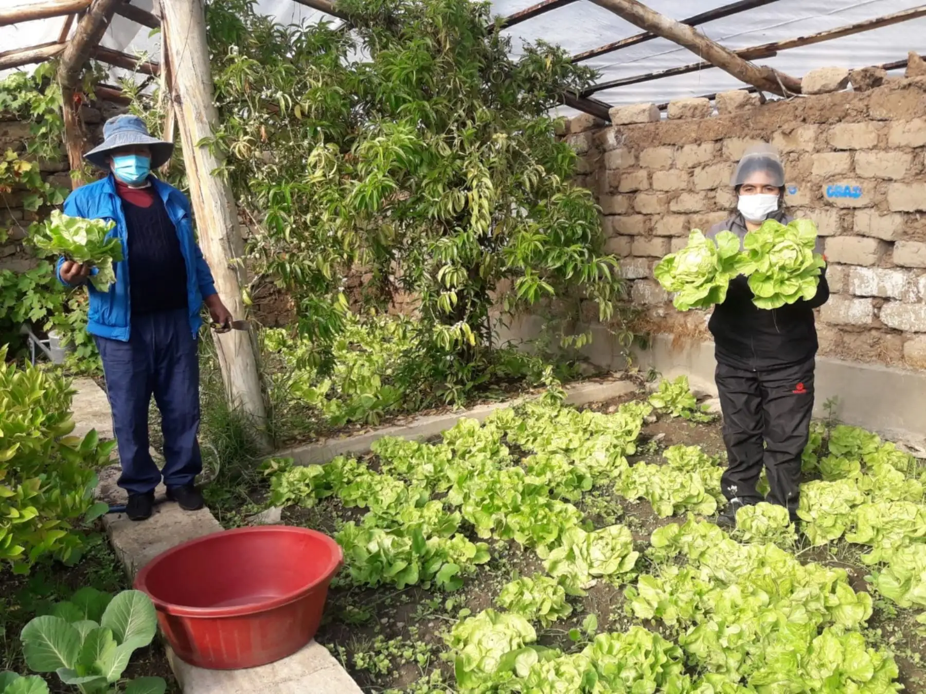 Junín: madres reciben productos alimenticios de Qali Warma y hortalizas de huerto escolar