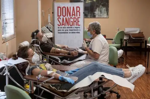 Vacunados contra el covid-19 sí pueden donar sangre.