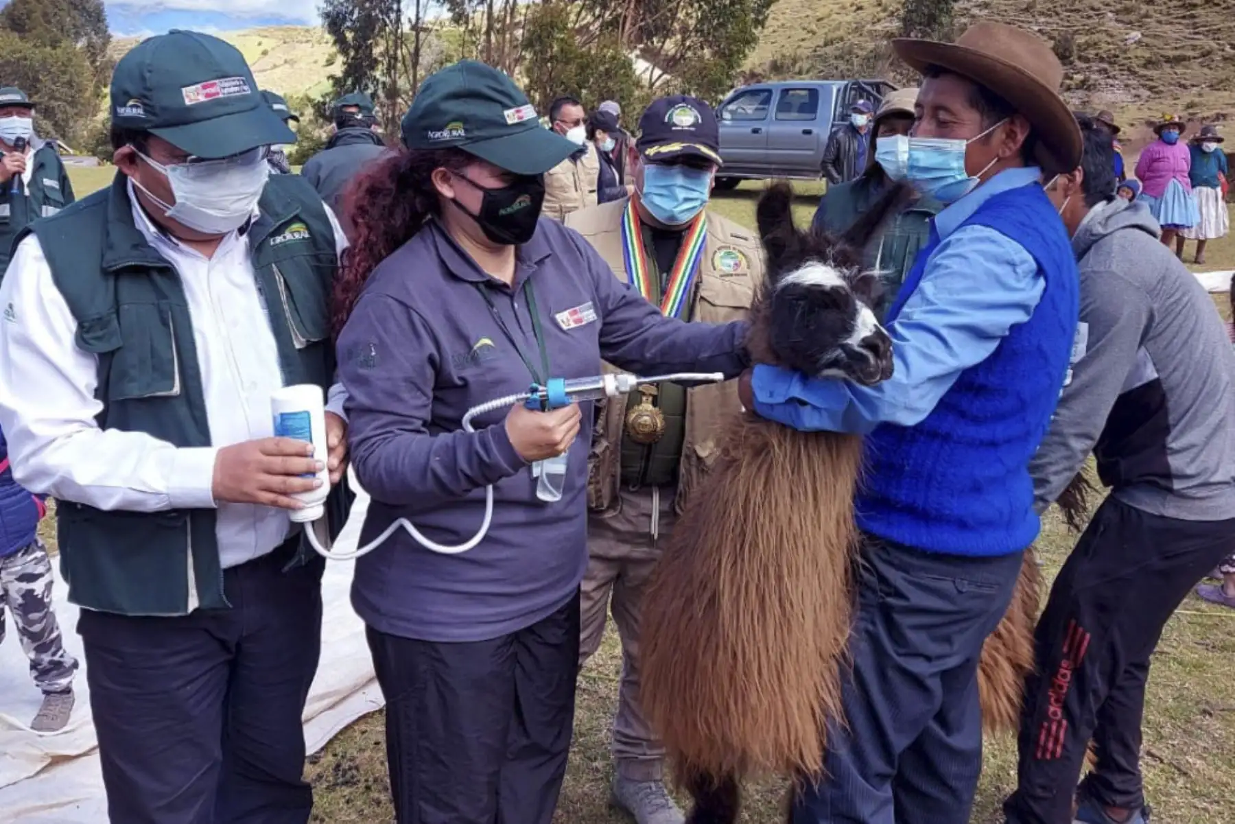 Productores agropecuarios de la Comunidad Campesina de Huambomayo, distrito Chinchaypucyo en Anta región Cusco, recibieron la visita de Roxana Orrego, directora ejecutiva de AgroRural, quien llegó hasta el lugar para supervisar las acciones ante heladas y friaje en esta región.  Foto: ANDINA/AgroRural