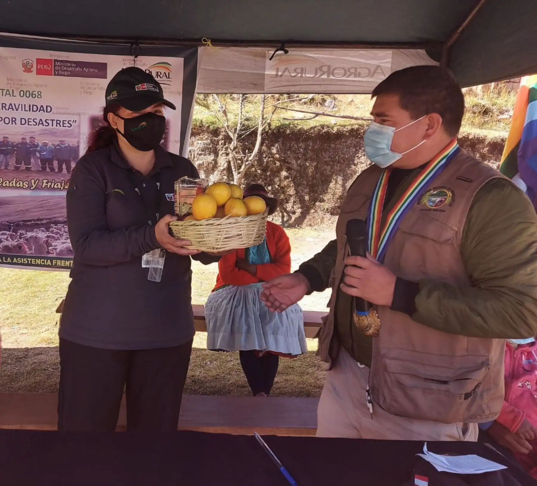 Cusco: Midagri entrega kits para proteger 212 mil cabezas de ganado de las heladas
