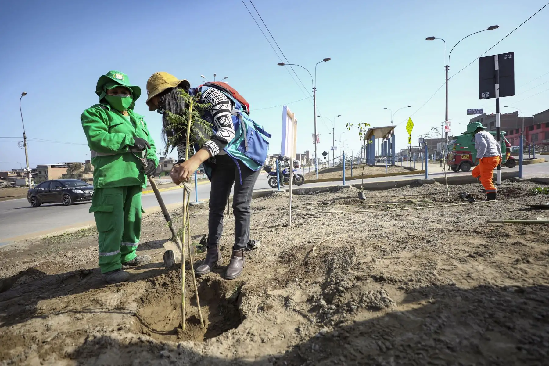 Municipalidad Metropolitana de Lima  realiza plantado de 200 árboles en el distrito de Villa el Salvador.
Foto: Municipalidad de Lima