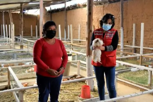 En el barrio Huacho destacan emprendimientos de crianza y venta de cuyes, así como de derivados lácteos. Foto: Cortesía Pedro Tinoco