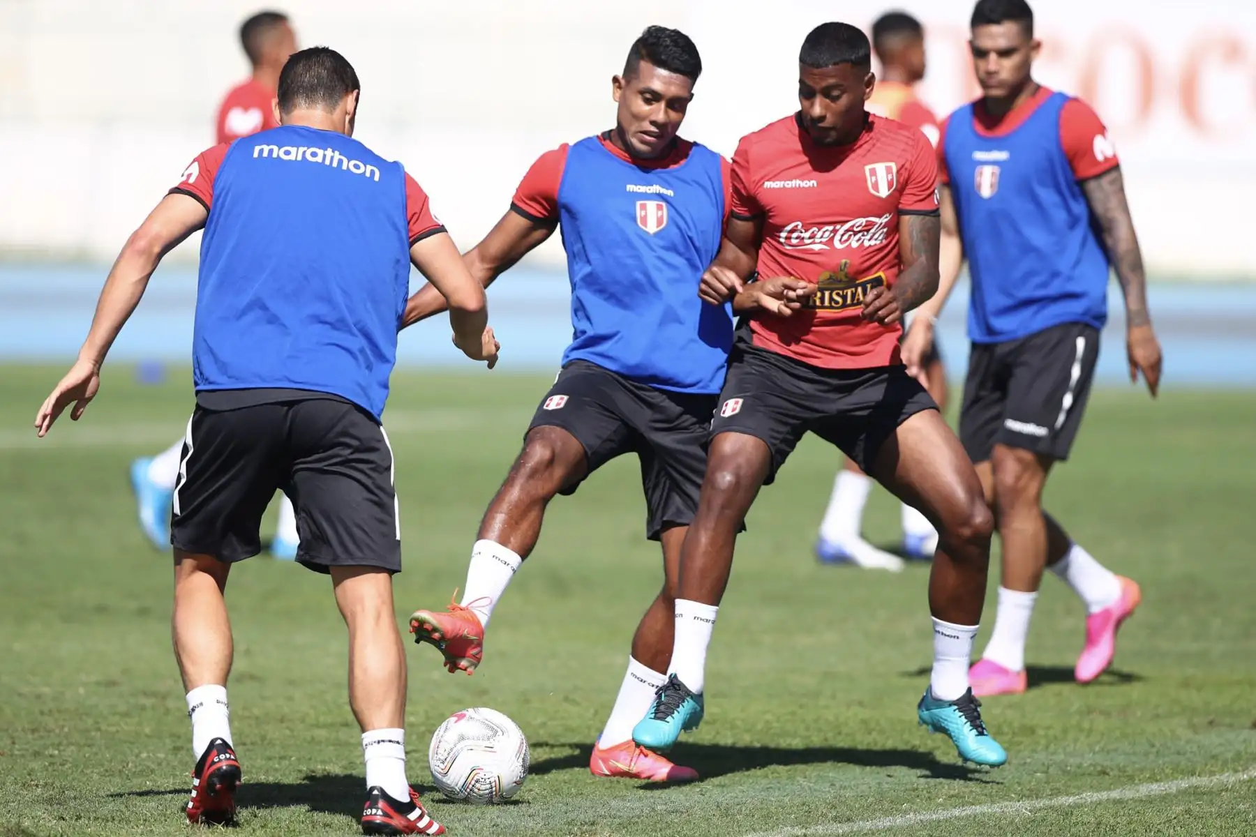 Los 26 seleccionados realizaron trabajos tácticos, que le permitió al técnico Ricardo Gareca confirmar a su oncena que saldrá a afrontar el primer partido de la escuadra nacional en el Grupo B.
Foto: Selección Peruana